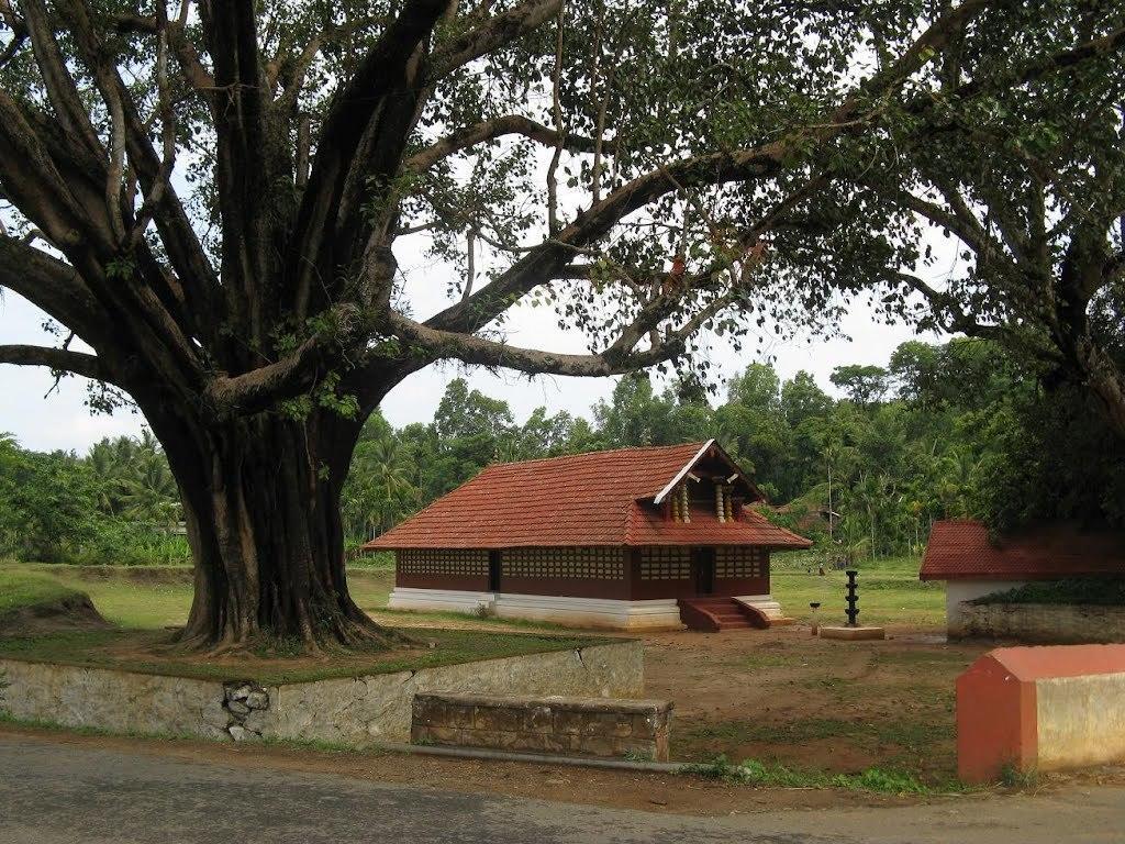 Wayanad Gate Resort Mananthavady Luaran gambar