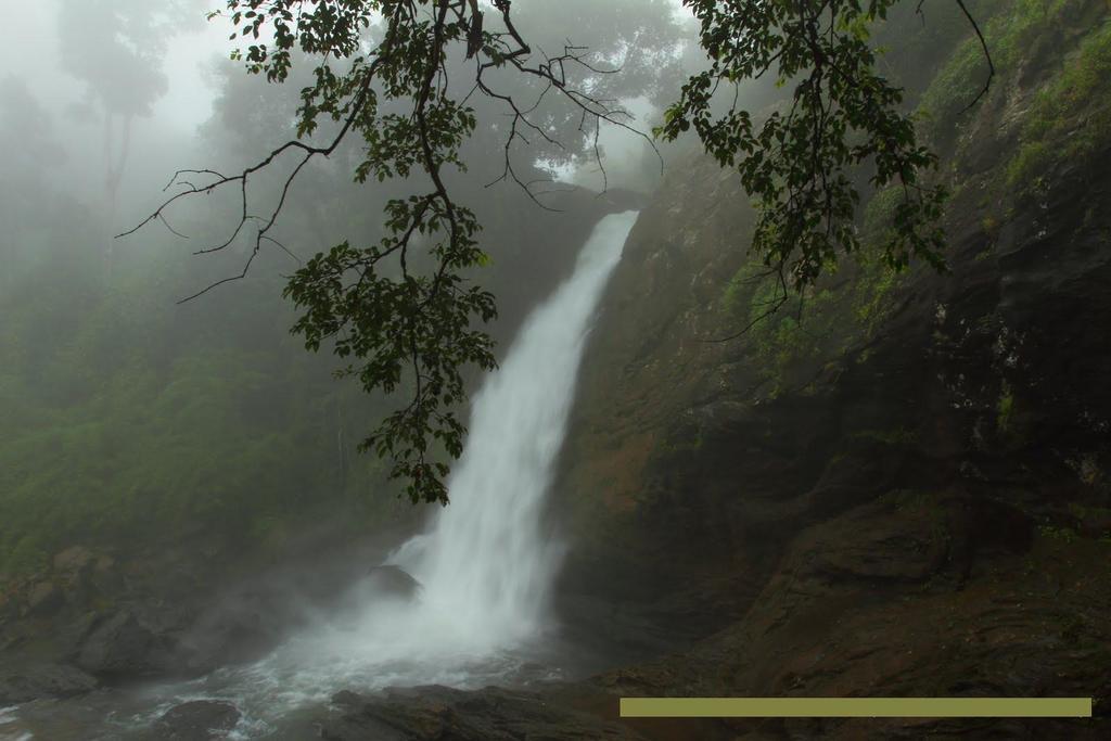 Wayanad Gate Resort Mananthavady Luaran gambar