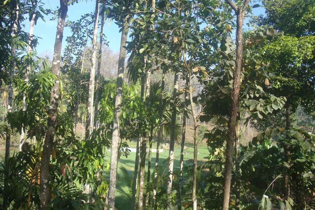 Wayanad Gate Resort Mananthavady Luaran gambar